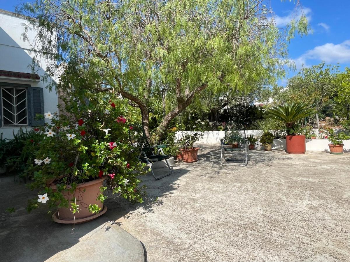 Villa Gioia Ostuni Exterior photo